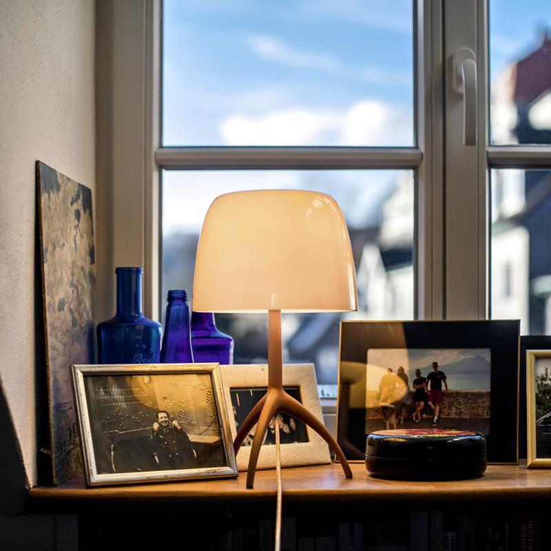 Foscarini - Partenaires